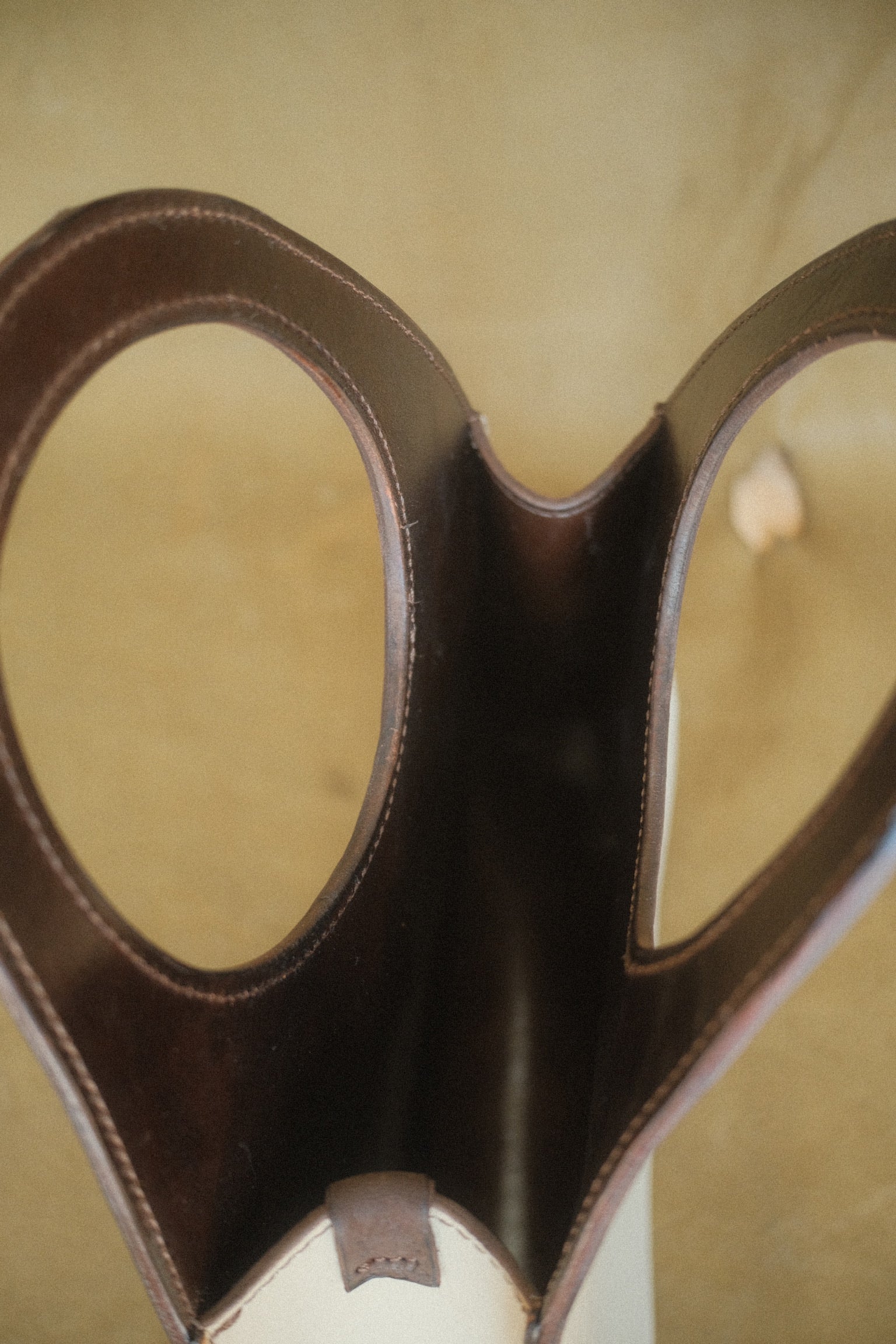 Bone Bangle