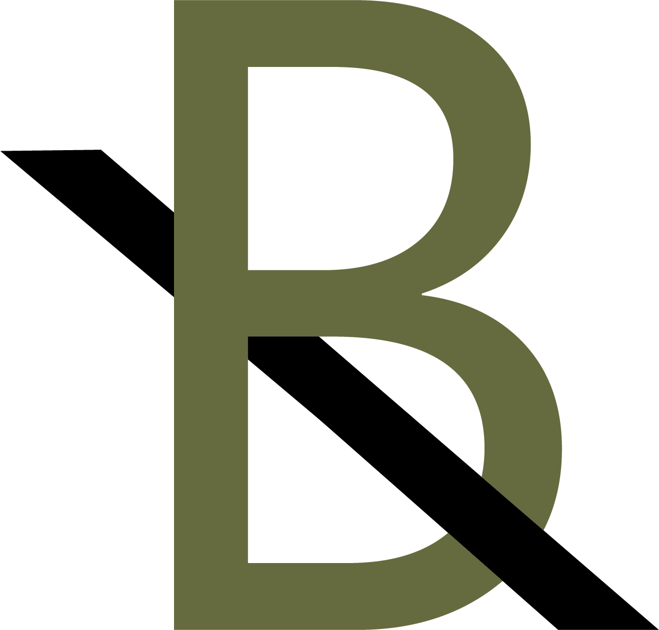 Rivers Beall Leather